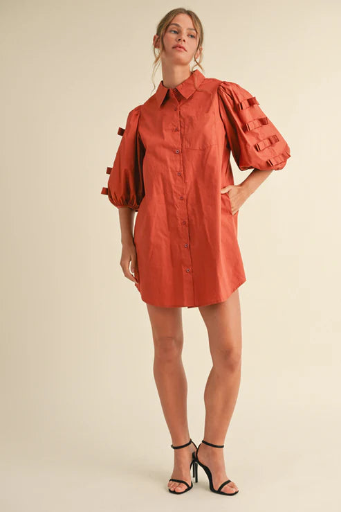 Terra Tie-Sleeve Shirt Dress
