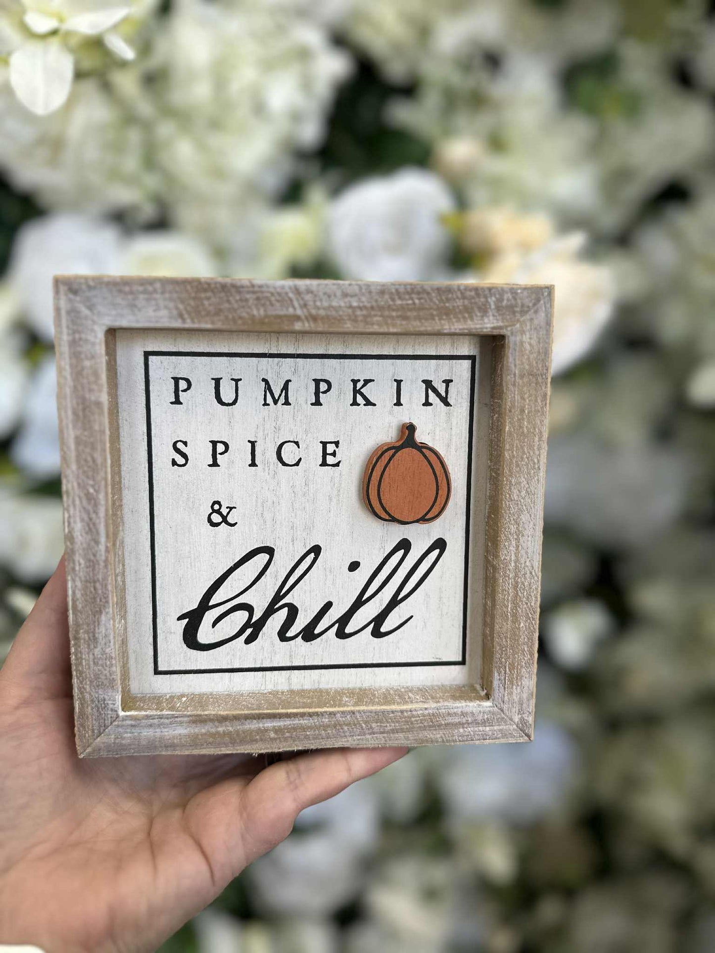 Reversible Fall & Halloween Mini Wood Sign