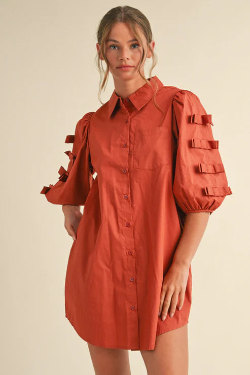 Terra Tie-Sleeve Shirt Dress