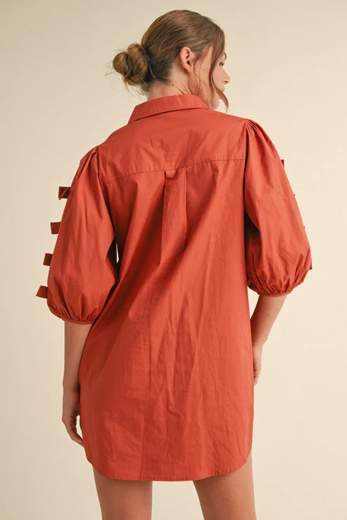 Terra Tie-Sleeve Shirt Dress