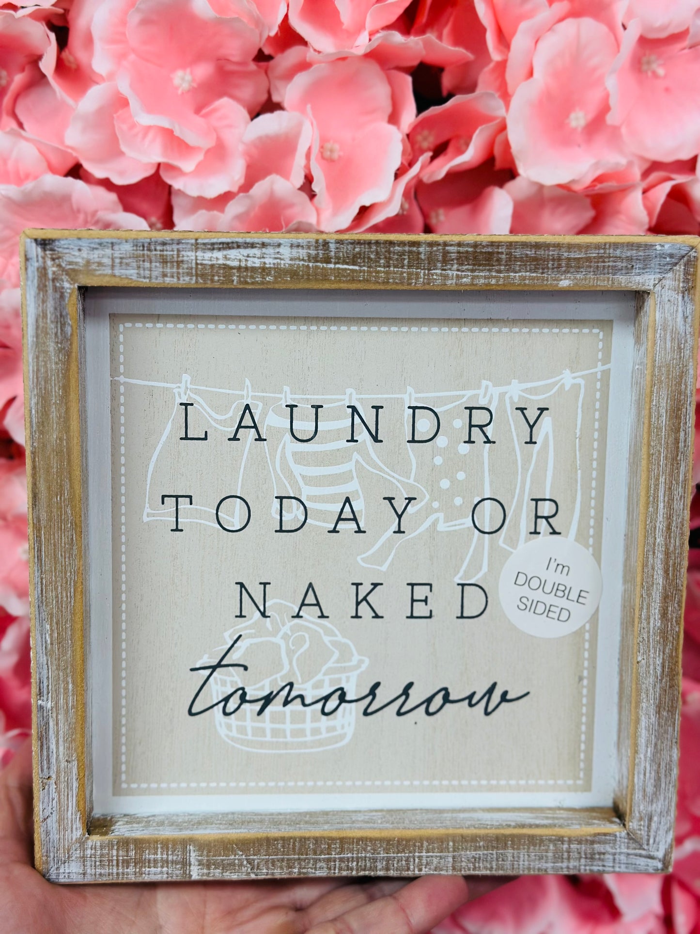 Laundry Today/Ironing in Dryer