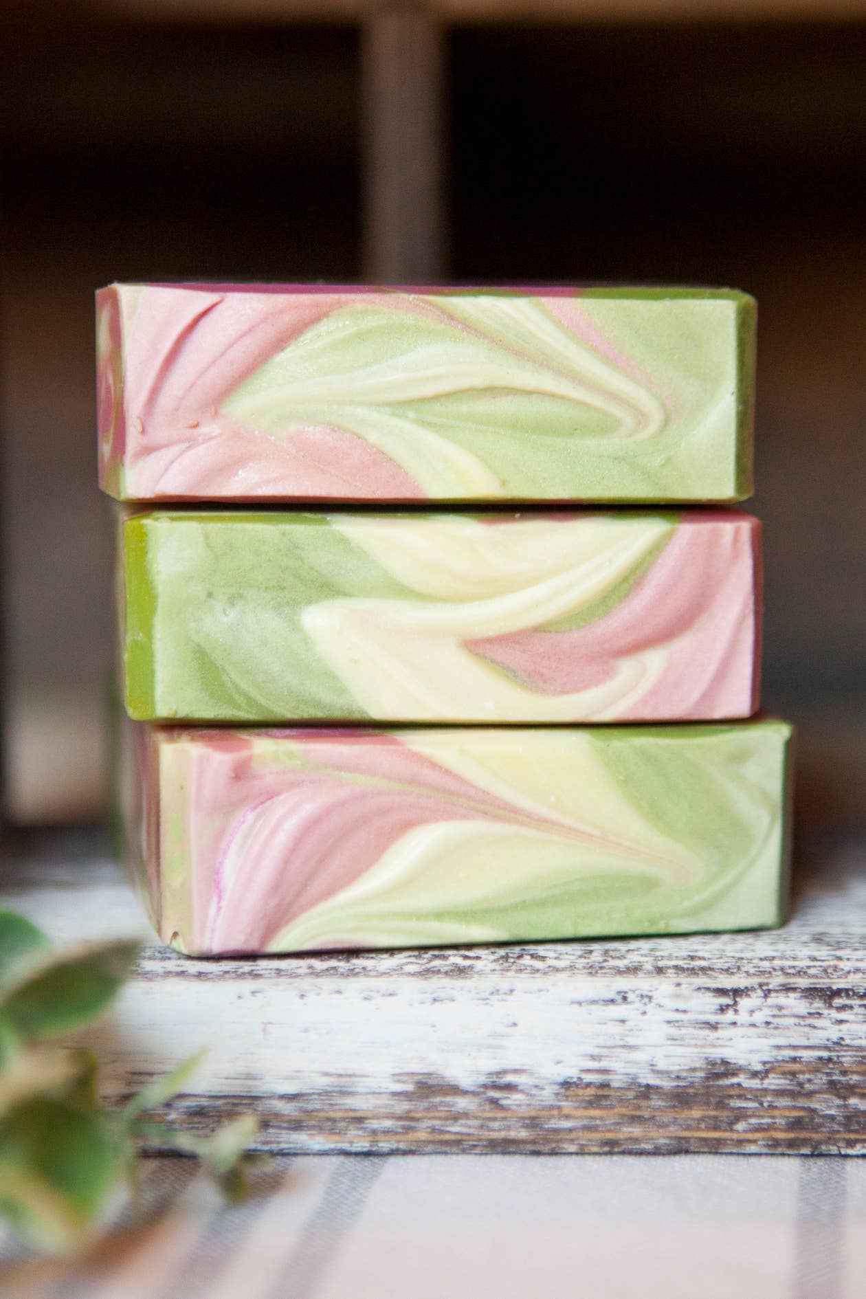 Baja Cactus Artisan Soap